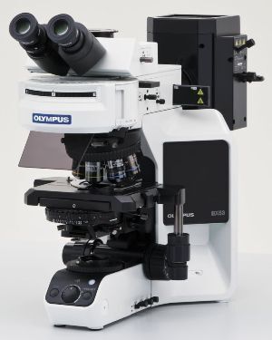 奥林巴斯显微镜BX53-2