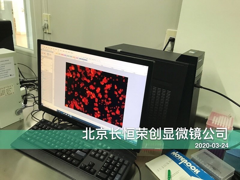 荧光显微镜拍照CCD安装于河南大学