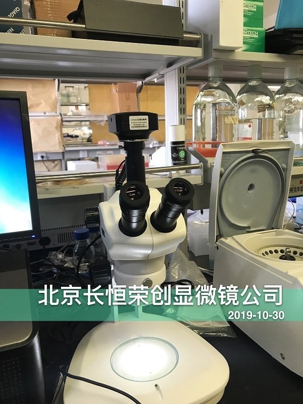 数码体视显微镜安装于山东大学2