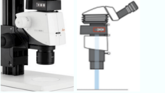 徕卡体视显微镜的照明系统的优点2