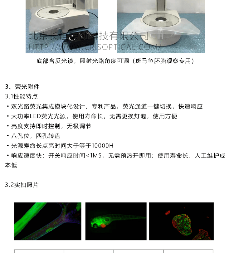 Danio-rerio-1.