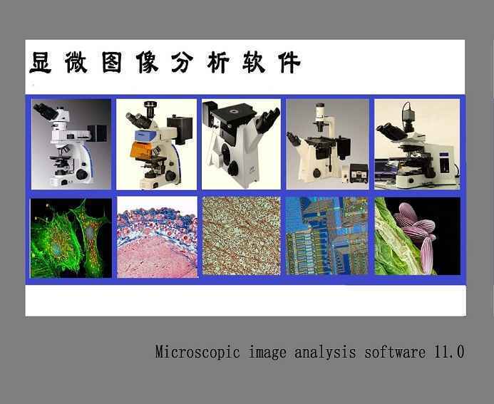 金属评级，金相分析显微系统1