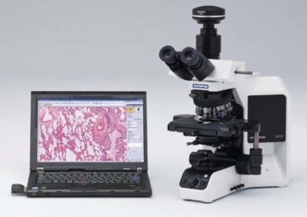 奥林巴斯显微镜BX53